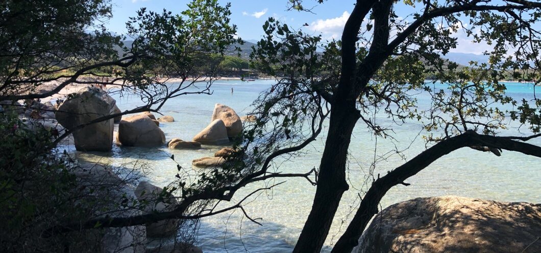 header-corse